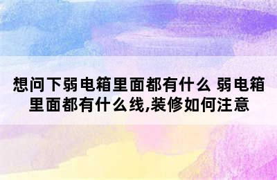 想问下弱电箱里面都有什么 弱电箱里面都有什么线,装修如何注意